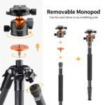 70”/1.7m Carbon Fiber Travel Tripod Max Height,lightweight tripod 15kg/33.07lbs Load for DSLR Cameras A254C4+BH-35L (old model SA254C2)