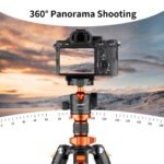 62''/1.6m Portable Travel Tripod Carbon Fiber Tripod 22lbs Load with Detachable Monopod 360° Ball Head & Carry Bag for DSLR,D254C1+BH-28L