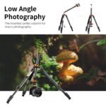 62''/1.6m Portable Travel Tripod Carbon Fiber Tripod 22lbs Load with Detachable Monopod 360° Ball Head & Carry Bag for DSLR,D254C1+BH-28L