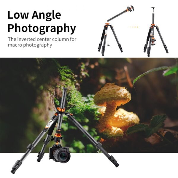 62''/1.6m Portable Travel Tripod Carbon Fiber Tripod 22lbs Load with Detachable Monopod 360° Ball Head & Carry Bag for DSLR,D254C1+BH-28L