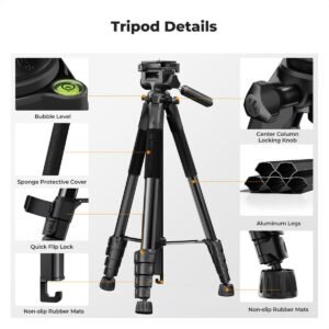 K&F Concept 75" Lightweight Tripod, Camera Compact Tripod with Remote and 2-in-1 Phone Holder,Travel Phone Tripod with Removable 3-Way Pan Head for Selfie/Video Recording/Photo/Live Stream/Vlog