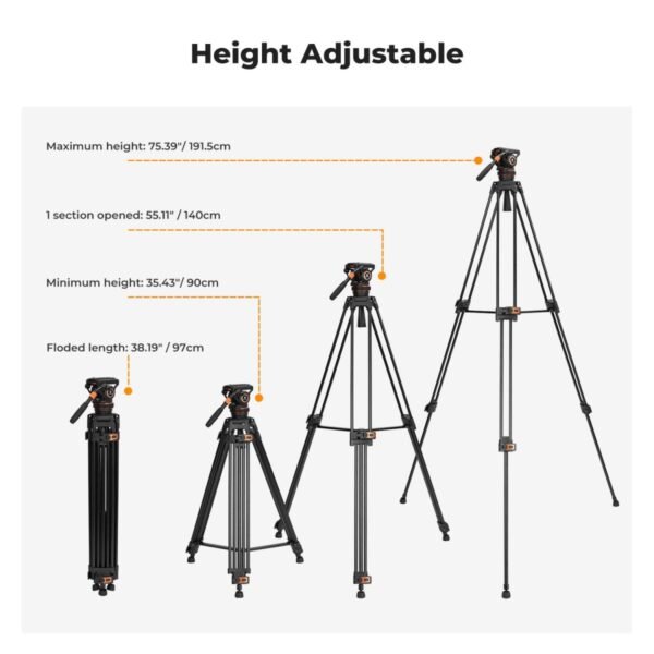 K&F Concept 17.6lbs/8KG Load Capacity Fluid Head Tripod Camera Tripod Maximum Height 75.2"/1.91m Video Tripod VA3+BV10