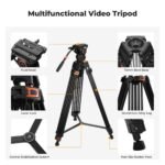 K&F Concept 17.6lbs/8KG Load Capacity Fluid Head Tripod Camera Tripod Maximum Height 75.2"/1.91m Video Tripod VA3+BV10