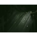 OM SYSTEM OM-3 Mirrorless Camera - Body Only