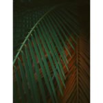 OM SYSTEM OM-3 Mirrorless Camera - Body Only