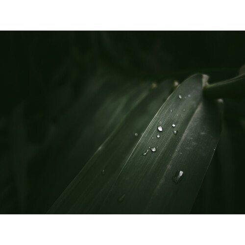 OM SYSTEM OM-3 Mirrorless Camera with 12-45mm f/4 Lens Kit