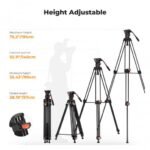 K&F CONCEPT Heavy Duty Tripod 75" Video Tripod Stand with Fluid Head Damping Adjustable - Load up to 22lb