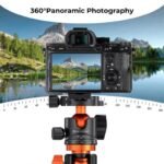 K&F Concept Tripod 36mm Metal Tripod Ball Head 360 Degree Rotating Panoramic with 1/4 inch