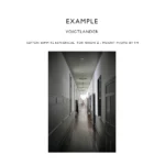 Voigtlander Lens 40mm f2.0 Septon for Nikon Z - Mount | Kamera Lensa Fixed Manual Fokus